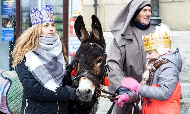 Osioł w śniegu, mróz i radość