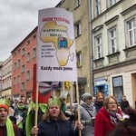 Orszak Trzech Króli 2019 - Namysłów