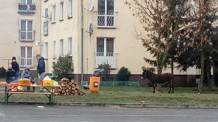 Orszak Trzech Króli 2019 - Malczyce