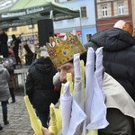 Świdnica. Tutaj znów były osiołki...