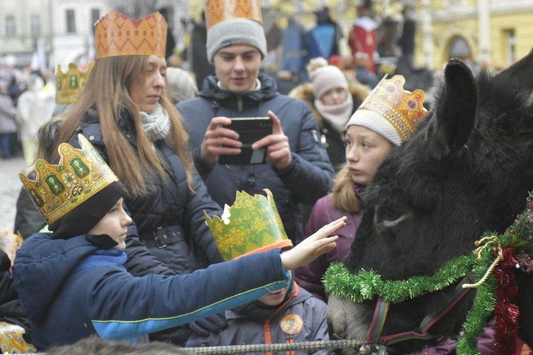 Świdnica. Tutaj znów były osiołki...