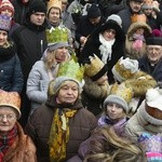 Świdnica. Tutaj znów były osiołki...