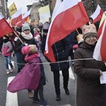 Świdnica. Tutaj znów były osiołki...