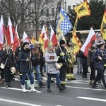 Świdnica. Tutaj znów były osiołki...