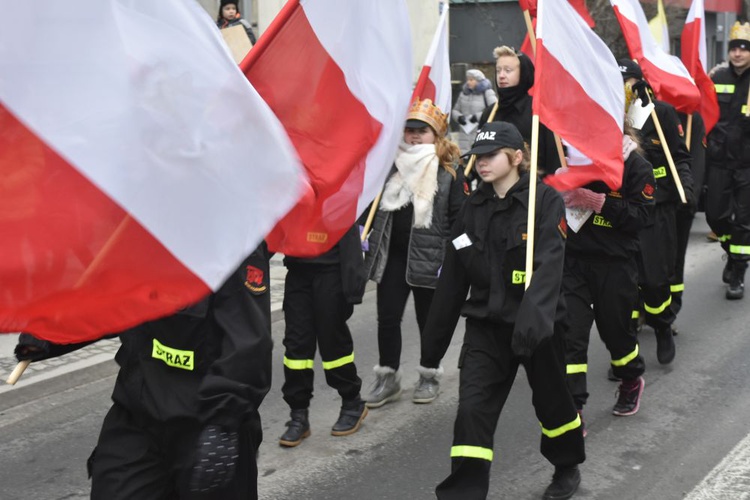 Świdnica. Tutaj znów były osiołki...