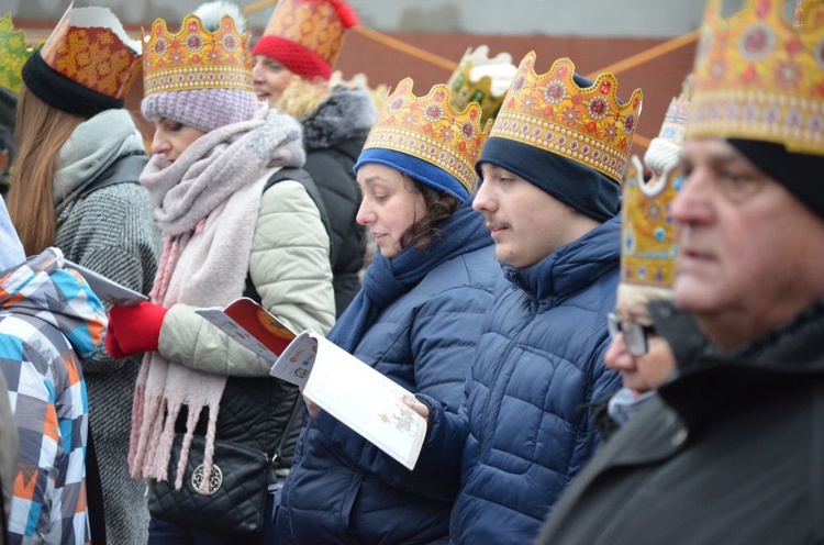 Świdnica. Tutaj znów były osiołki...