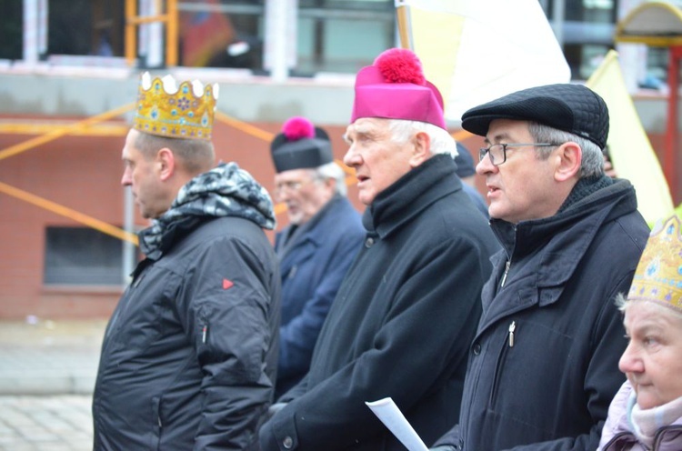 Świdnica. Tutaj znów były osiołki...