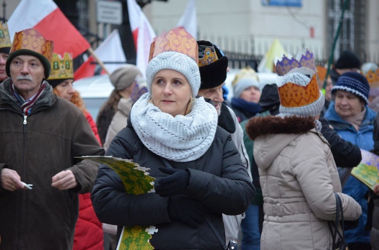 Świdnica. Tutaj znów były osiołki...