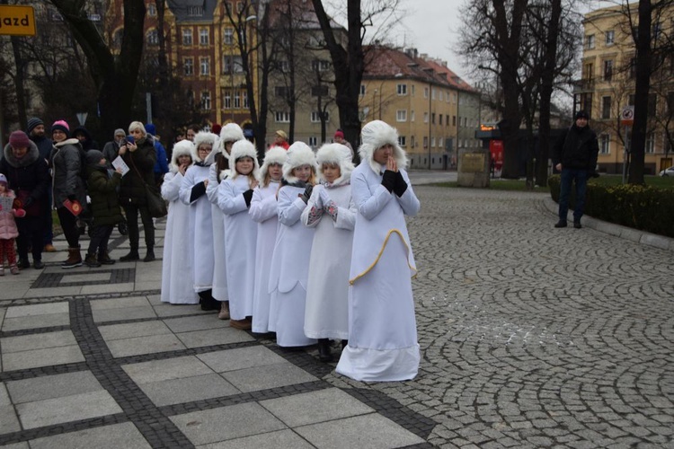 Świdnica. Tutaj znów były osiołki...