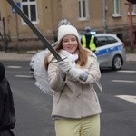 Świdnica. Tutaj znów były osiołki...