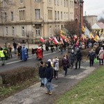 Świdnica. Tutaj znów były osiołki...