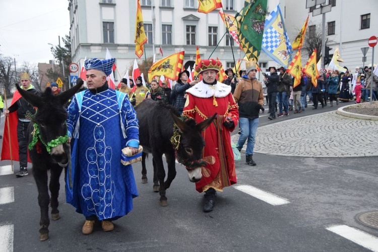 Świdnica. Tutaj znów były osiołki...