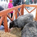 Orszak Trzech Króli w Radomiu