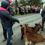 Orszak Trzech Króli 2019 - Mrozów