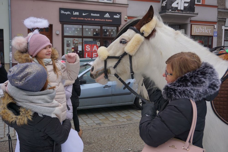 Ząbkowice Śląskie. Europa, Azja i Afryka - każda licznie reprezentowana i z własnym zawołaniem