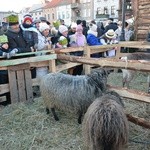 Golub-Dobrzyń. Orszak Trzech Króli