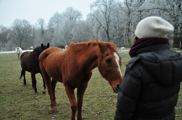 Ośrodek Szkolno-Wychowawczy w Kęble