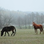 Ośrodek Szkolno-Wychowawczy w Kęble