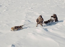 Nanook (Michaił Aprosimov) i Sedna (Feodosia Ivanova) żyją na pokrytym śniegiem pustkowiu. Ta bezbrzeżna przestrzeń jest dla nich całym światem.
