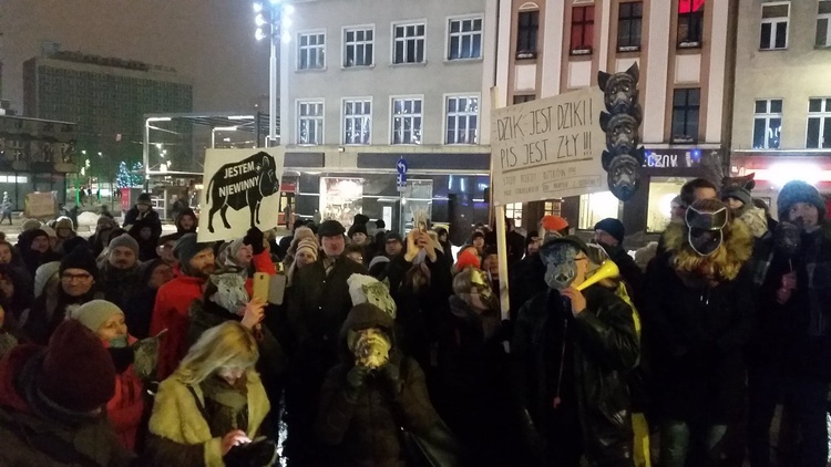 Protest w obronie dzików w Katowicach