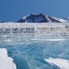 Nieznane zwierzęta pod lodami Antarktydy