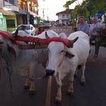 ŚDM - zakończenie Dni w Diecezjach 