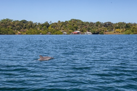 Panama oczami Dawida. Karaiby