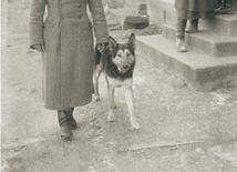 Żołnierz sowiecki na Górnym Śląsku, 1945 r.  