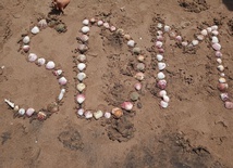 Smoczka w stolicy Panamy