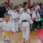 Karate w Rudniku nad Sanem