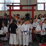 Karate w Rudniku nad Sanem