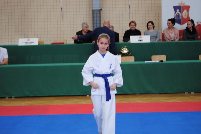 Karate w Rudniku nad Sanem