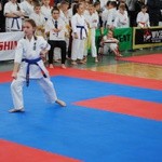 Karate w Rudniku nad Sanem