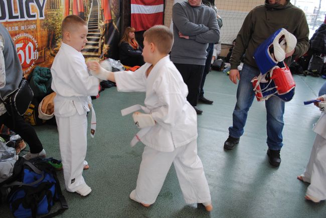 Karate w Rudniku nad Sanem