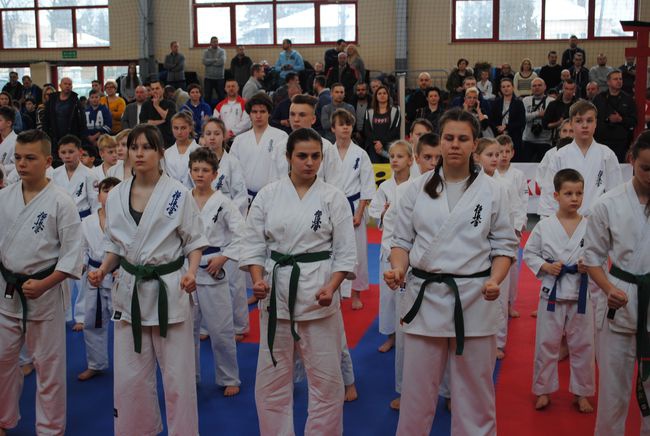 Karate w Rudniku nad Sanem