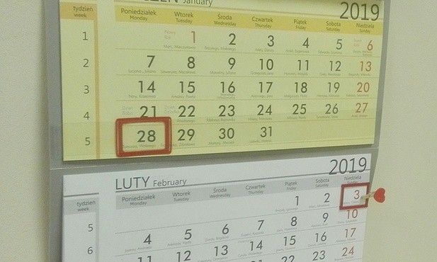 W tym tygodniu…(28.01-3.02.2019)
