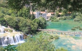 Drzewa nad płynącą wodą