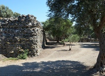 Taki jest Kościół