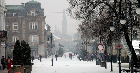 Podczas testu drużyny odpowiadają na pytania dotyczące szerokiego spektrum funkcjonowania Radomia, jego historii i dnia współczesnego