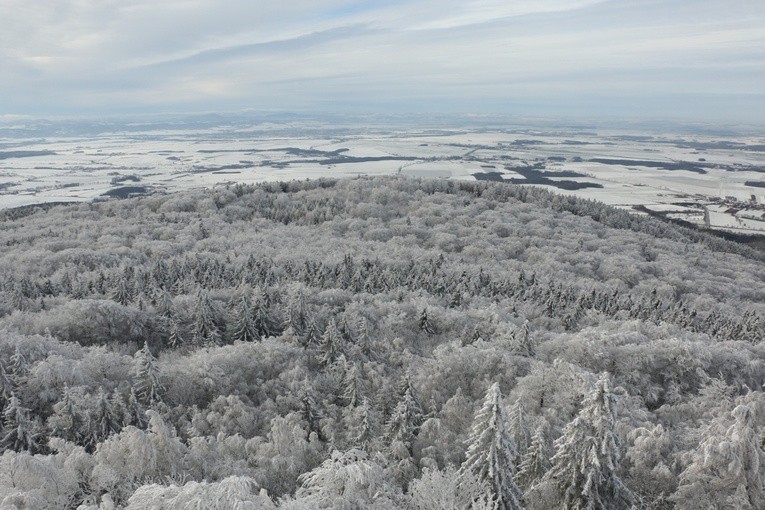 Zima potrafi być sroga, ale i piękna