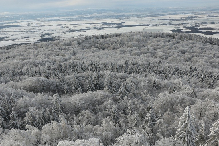 Zima potrafi być sroga, ale i piękna