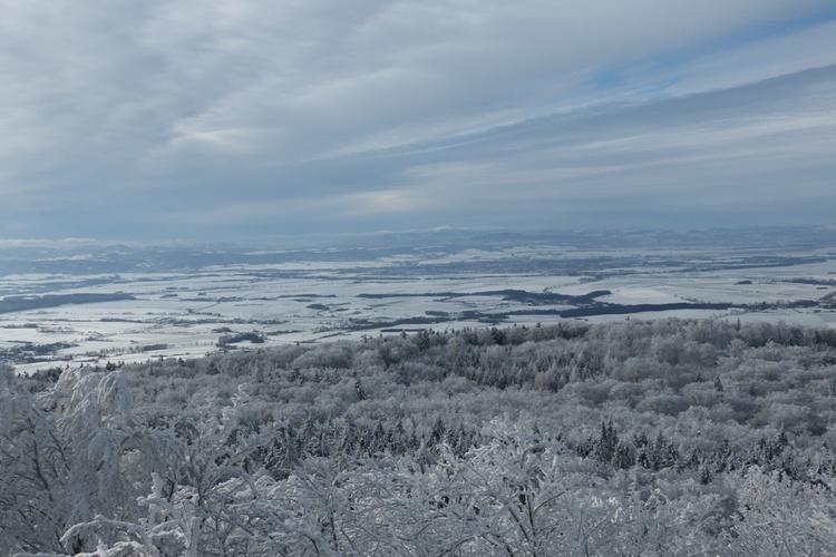 Zima potrafi być sroga, ale i piękna