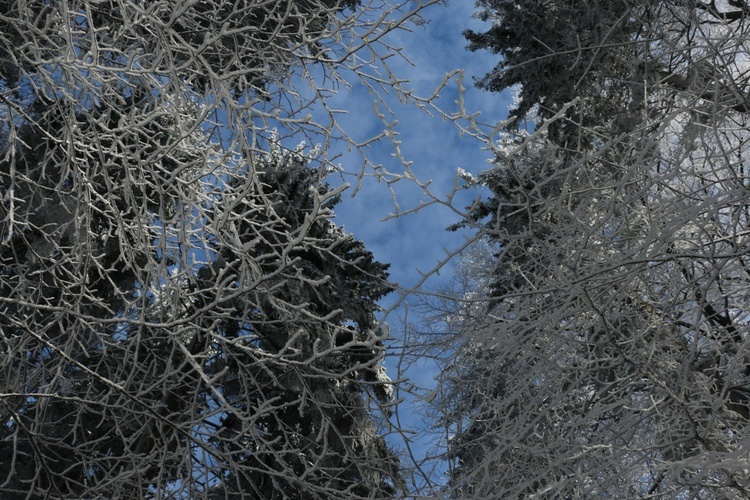 Zima potrafi być sroga, ale i piękna