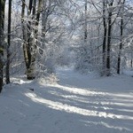 Zima potrafi być sroga, ale i piękna