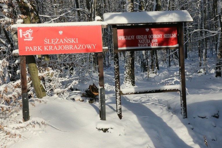 Zima potrafi być sroga, ale i piękna