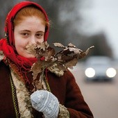 Chrystek to gałązka  dębu, który na zimę  nie zrzuca liści.