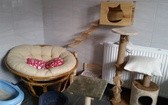 Nowoczesne schronisko w Sosnowcu - Milowicach