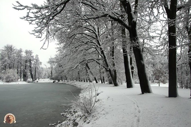 Zima w Rudach