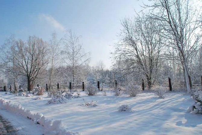 Zima u jezuitów w Gliwicach