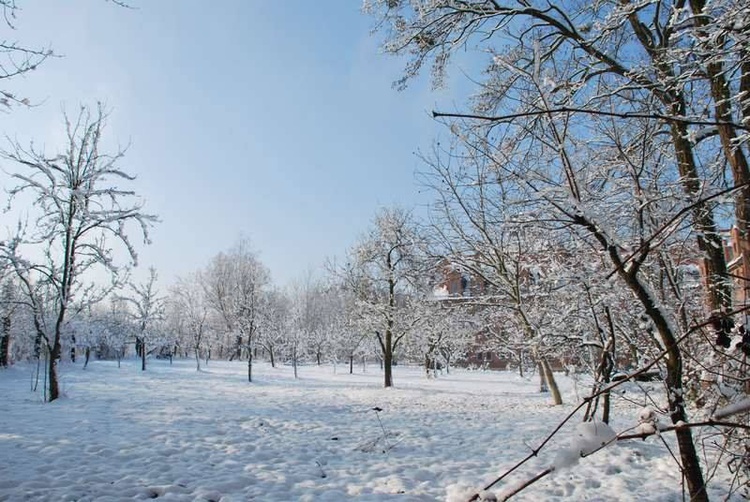 Zima u jezuitów w Gliwicach